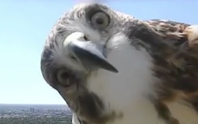 NGT48裁判が和解決着 数百万円と謝罪文提出…他メンバーの関与なしも認める