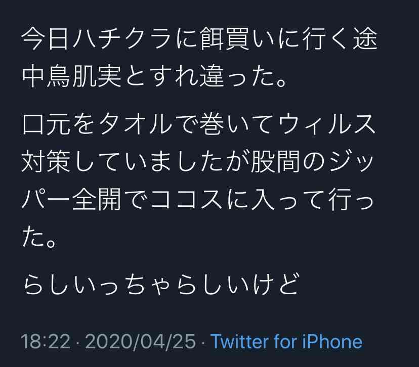 鳥肌実を知ってる人おいでPart4