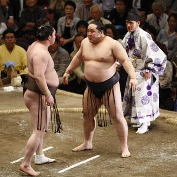 どっちが格上?【+-】PART6