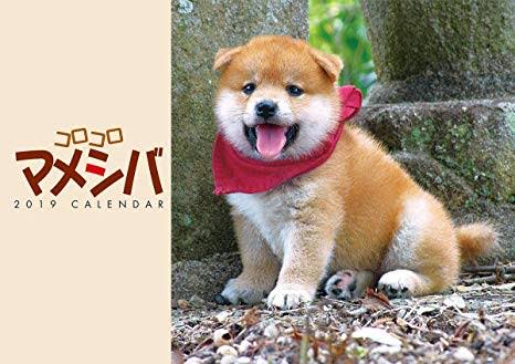 日本史の豆知識をあげていくトピ