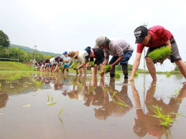 GW中に田植えで実家に帰省するのは不要不急？