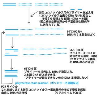 【コロナで大活躍中】臨床検査技師の人！