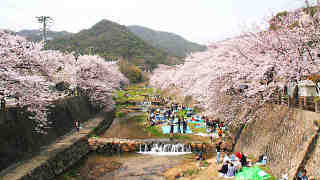 【コロナ】近畿地方の方語りましょう