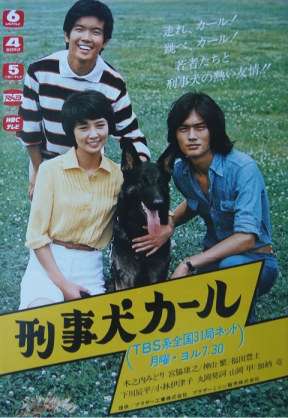 昔のテレビ番組知名度調査