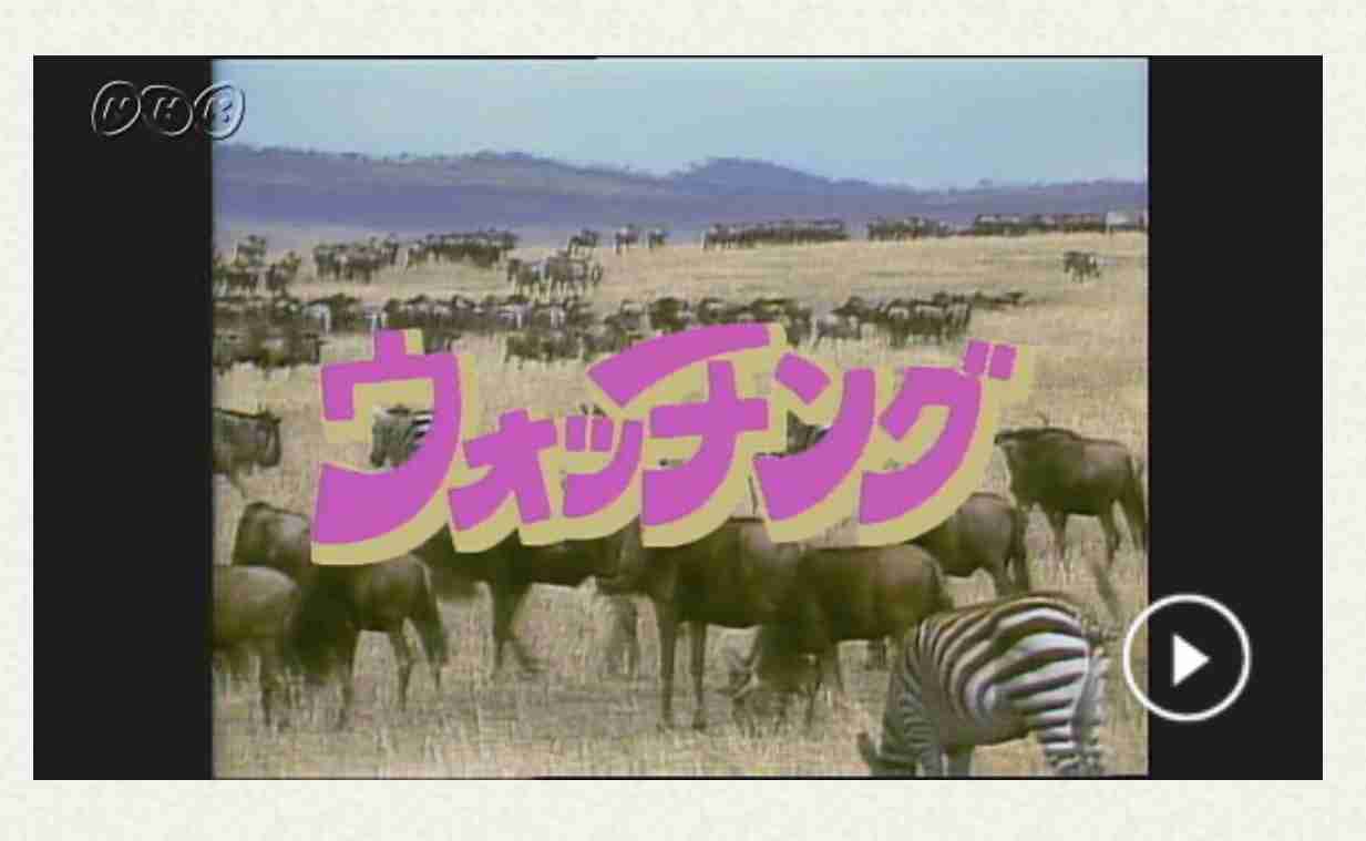 昔のテレビ番組知名度調査