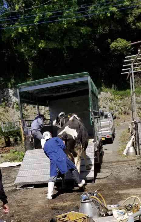「牛乳やヨーグルトもう1つ多めに買って」農水省呼びかけ