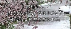 天才!志村どうぶつ園:「特別編」世帯視聴率27.3% 瞬間最高32.3%を記録