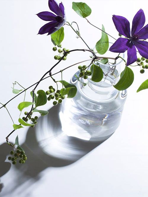 【画像】花と花瓶