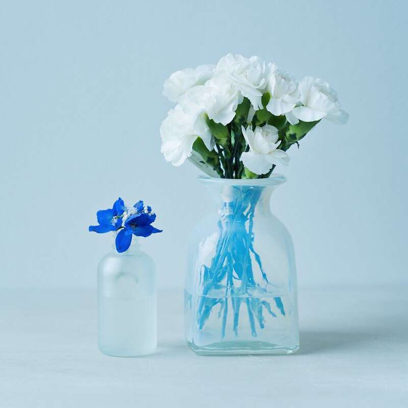 【画像】花と花瓶