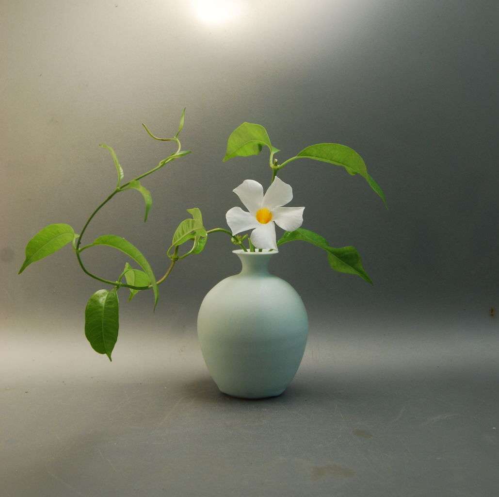 【画像】花と花瓶