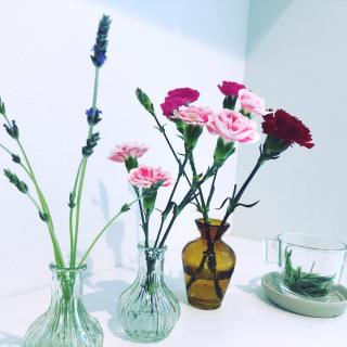 【画像】花と花瓶