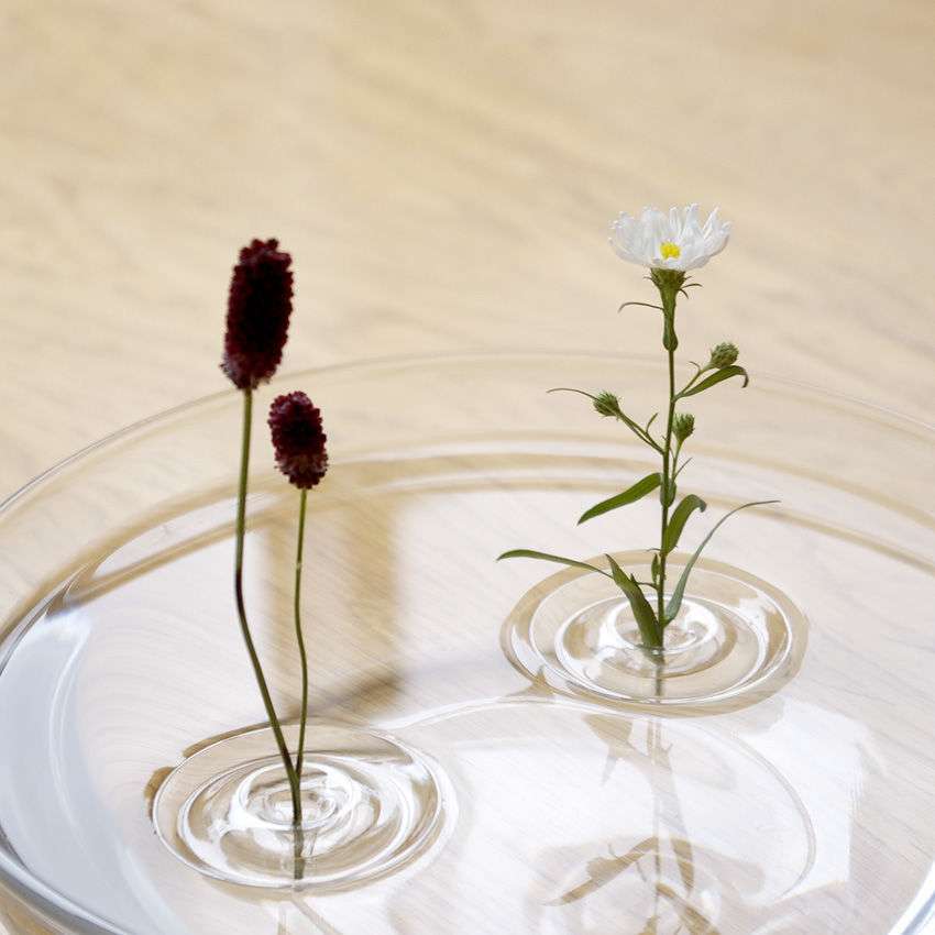 【画像】花と花瓶
