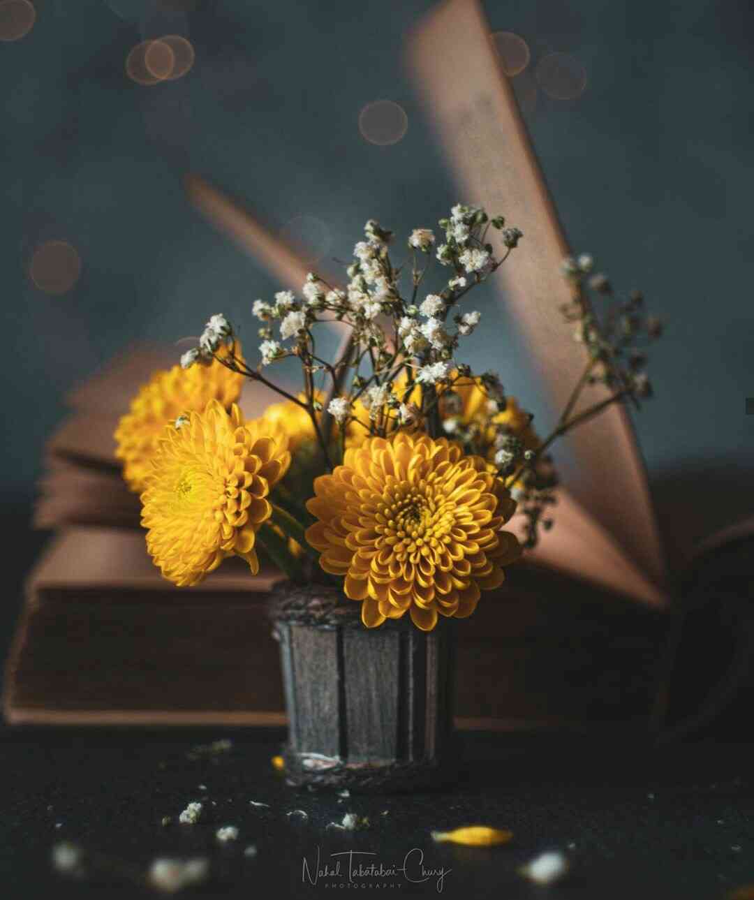 【画像】花と花瓶