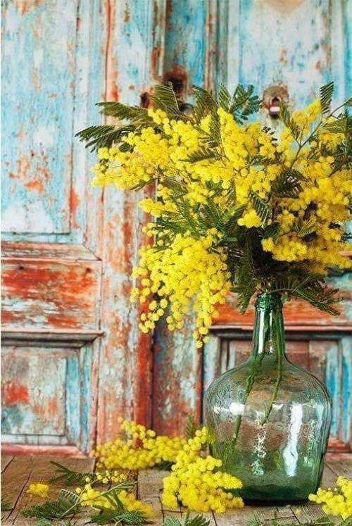 【画像】花と花瓶
