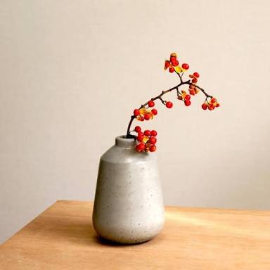 【画像】花と花瓶
