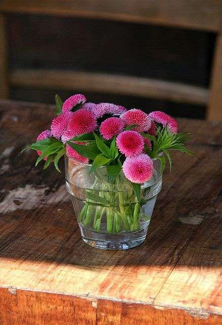 【画像】花と花瓶