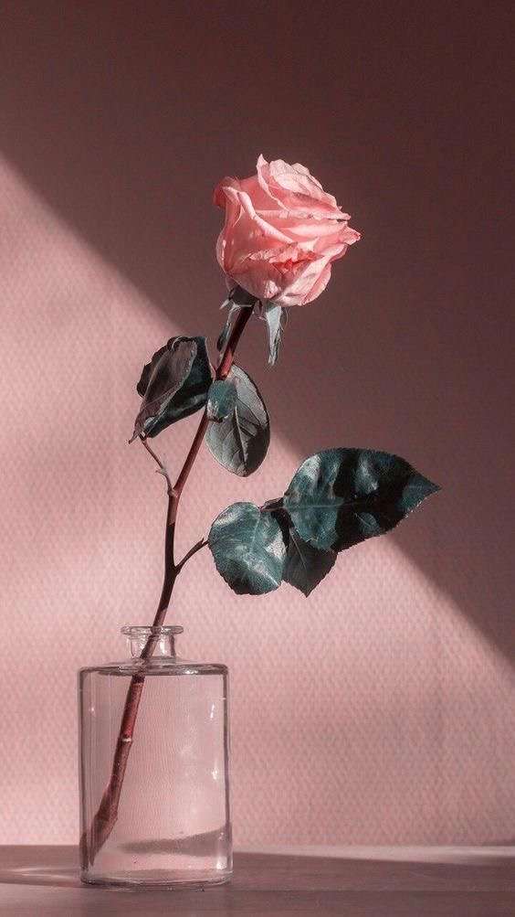 【画像】花と花瓶