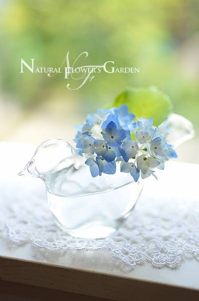 【画像】花と花瓶