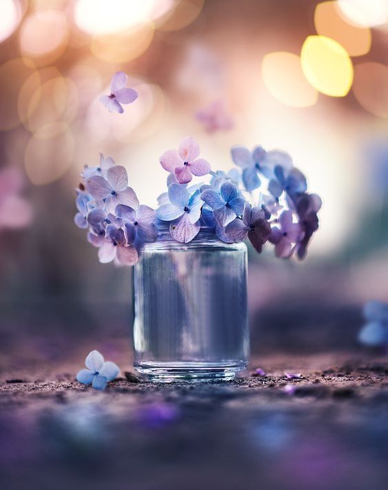 【画像】花と花瓶