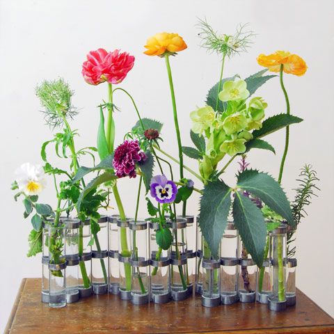 【画像】花と花瓶