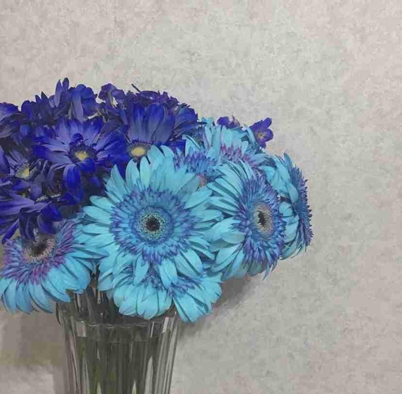 【画像】花と花瓶