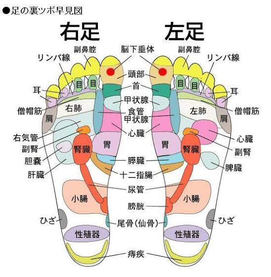 足揉みについて語りたい