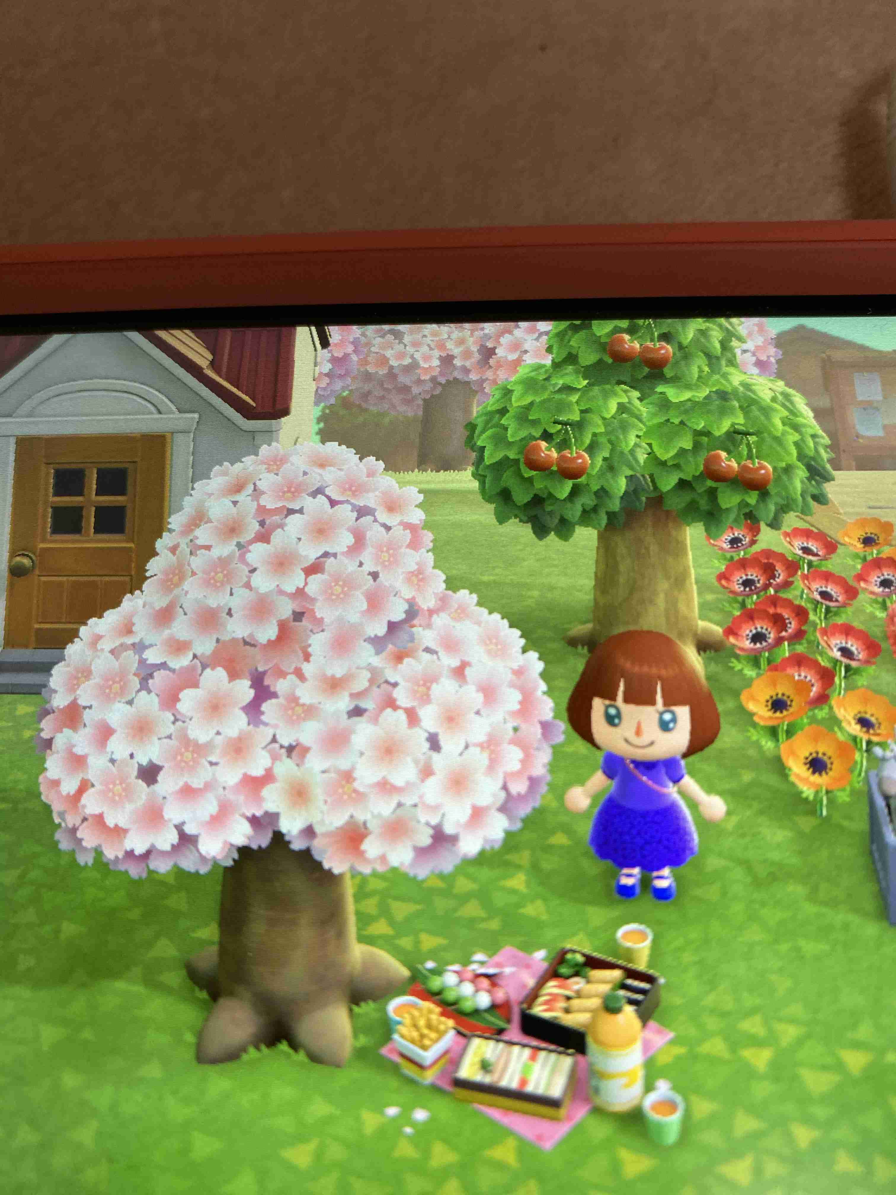 あつまれどうぶつの森見せてください