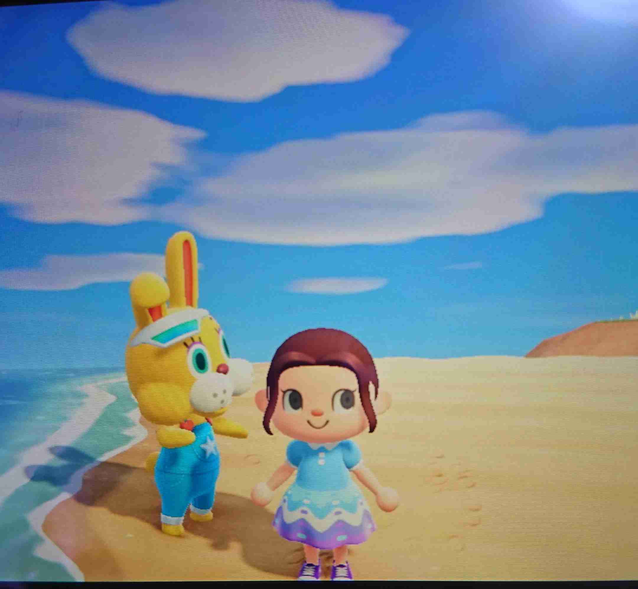 あつまれどうぶつの森見せてください