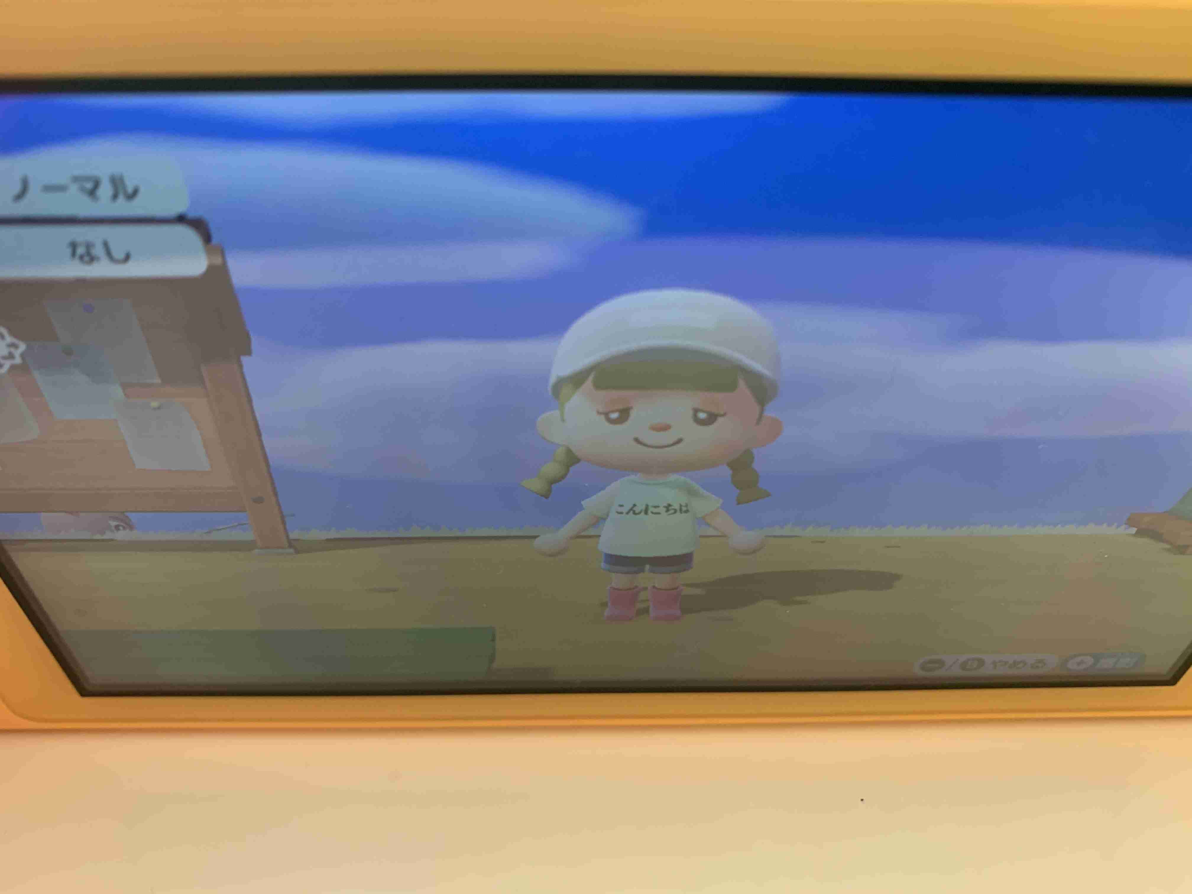あつまれどうぶつの森見せてください