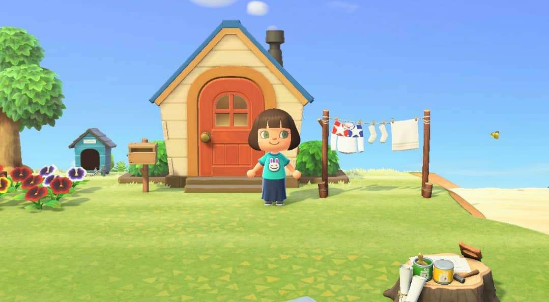 あつまれどうぶつの森見せてください