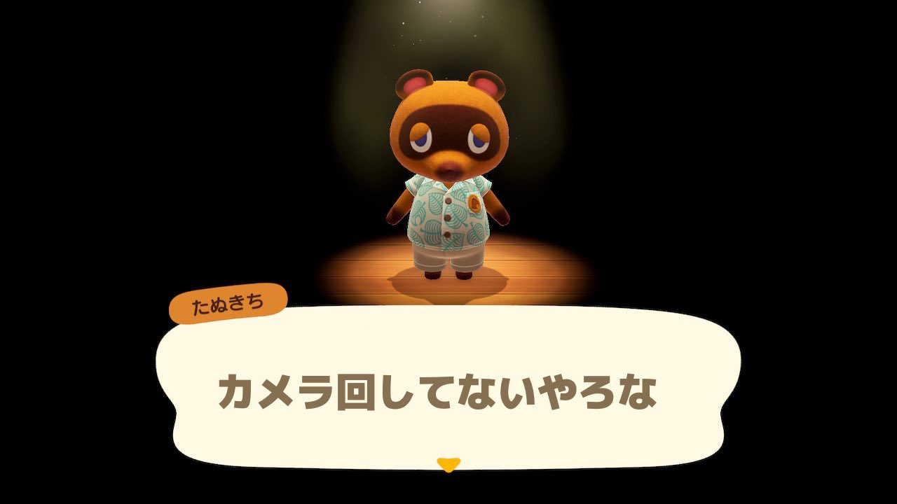 あつまれどうぶつの森見せてください