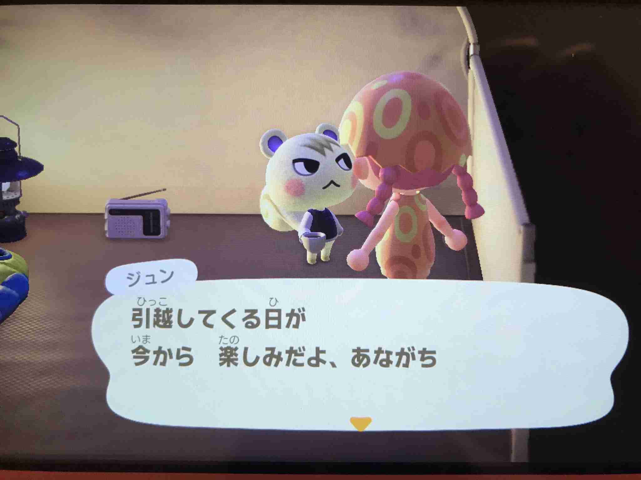 あつまれどうぶつの森見せてください