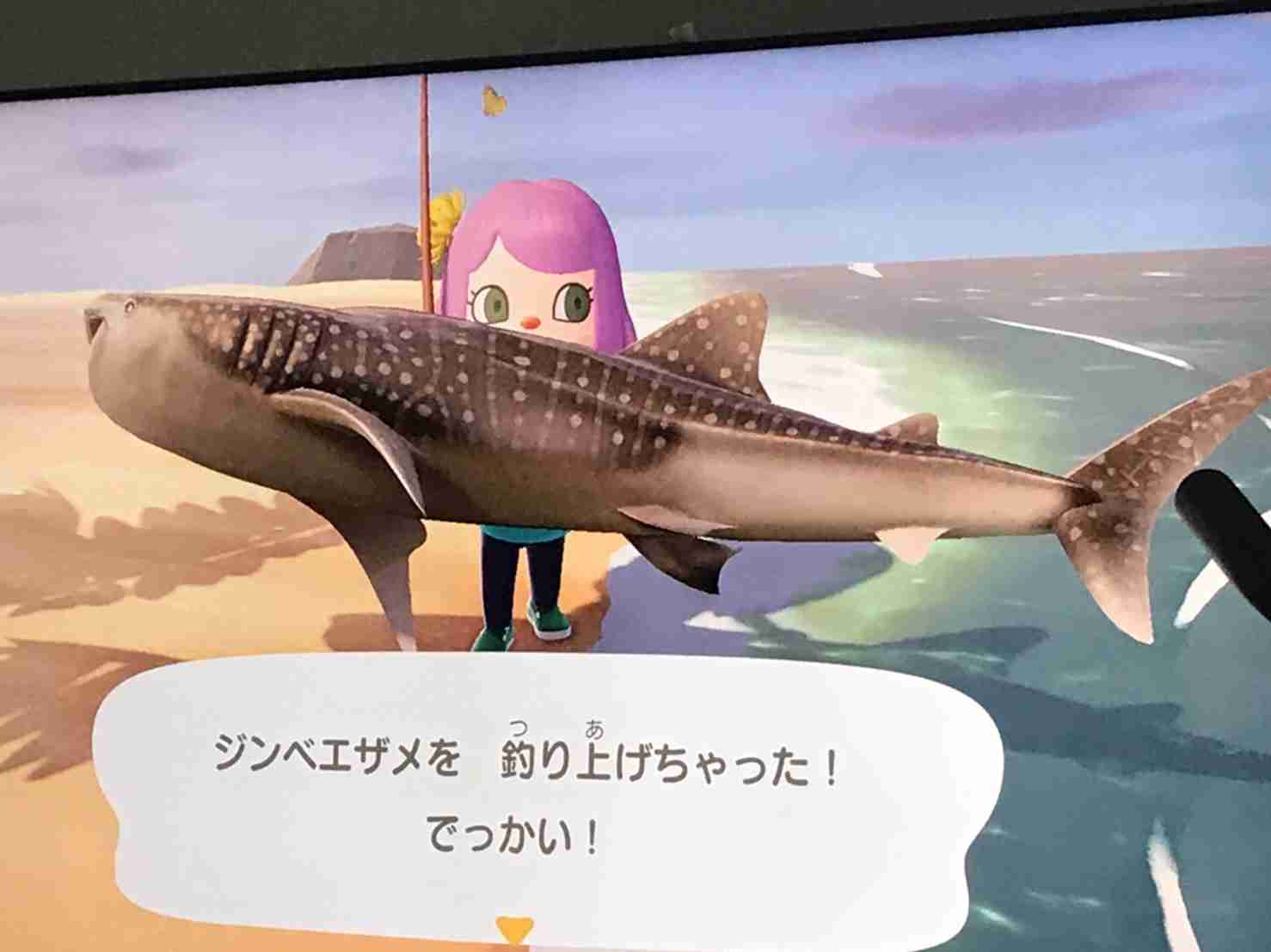 あつまれどうぶつの森見せてください