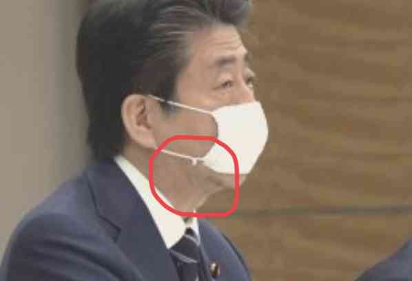 丸山穂高氏に不良品アベノマスク到着「ゴミか虫みたいなの入ってる」