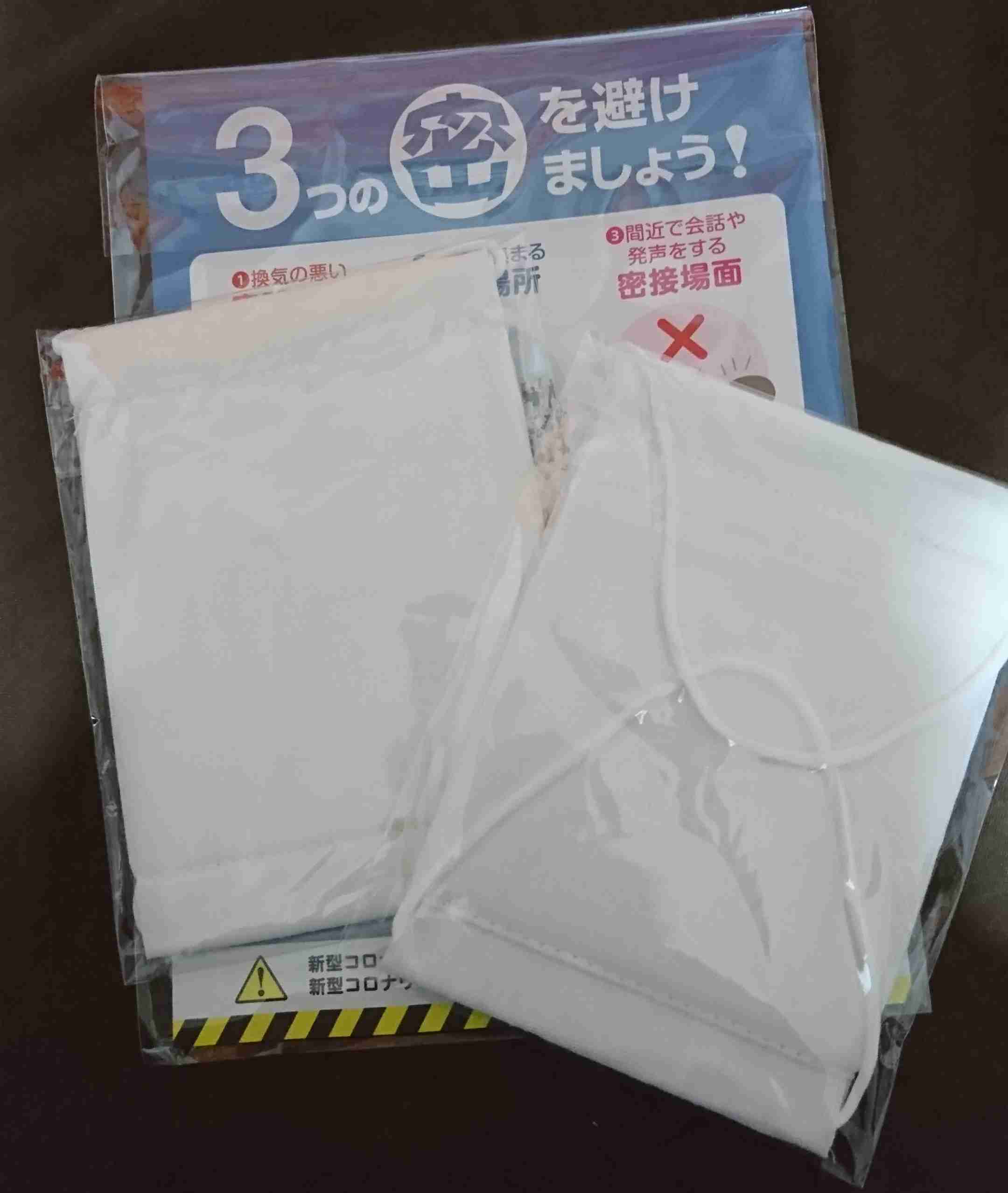 丸山穂高氏に不良品アベノマスク到着「ゴミか虫みたいなの入ってる」