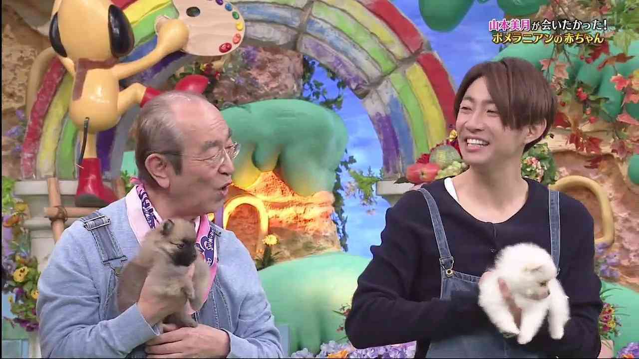 嵐・相葉雅紀が「志村どうぶつ園」“相続”　番組名変えずメインMCに