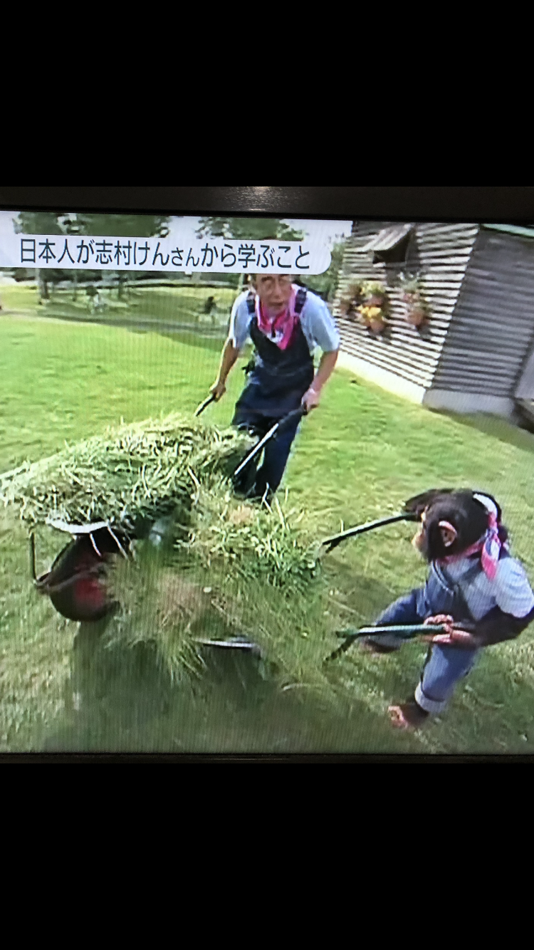 嵐・相葉雅紀が「志村どうぶつ園」“相続”　番組名変えずメインMCに