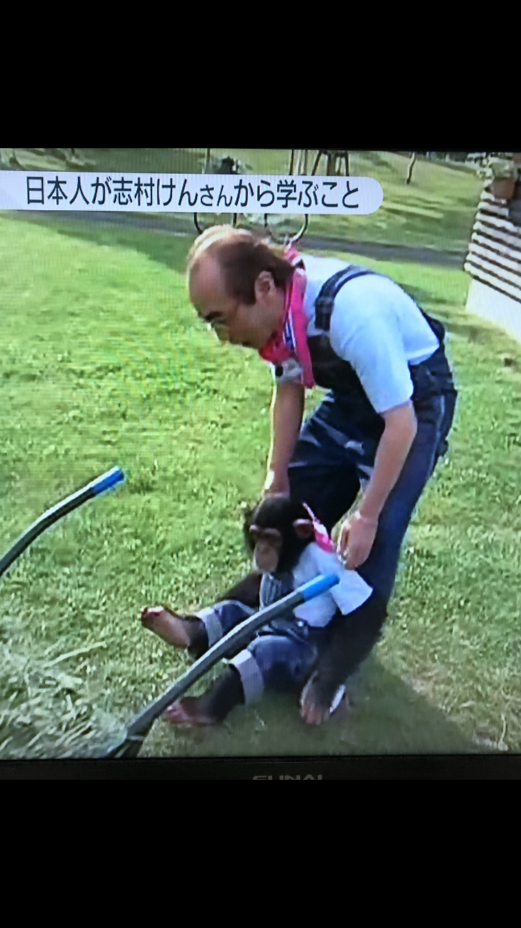 嵐・相葉雅紀が「志村どうぶつ園」“相続”　番組名変えずメインMCに