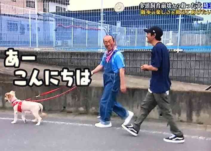 嵐・相葉雅紀が「志村どうぶつ園」“相続”　番組名変えずメインMCに