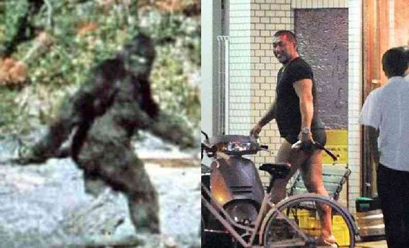 【ものによっては閲覧注意】私が衝撃を受けた画像を貼るトピ