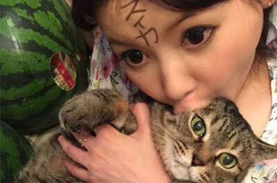 猫が苦手な人、嫌いな人集まれ～part5