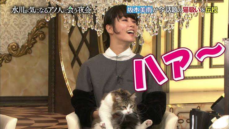 猫が苦手な人、嫌いな人集まれ～part5