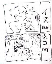 猫が苦手な人、嫌いな人集まれ～part5