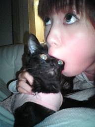 猫が苦手な人、嫌いな人集まれ～part5