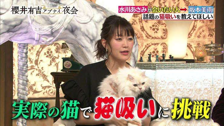 猫が苦手な人、嫌いな人集まれ～part5
