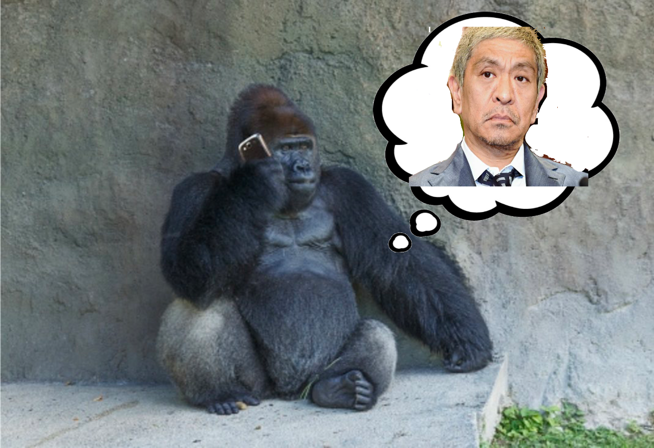 ダウンタウン松本人志の「写真で一言」に芸人らも続々参加　あなたの解答は？