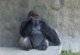 ダウンタウン松本人志の「写真で一言」に芸人らも続々参加　あなたの解答は？