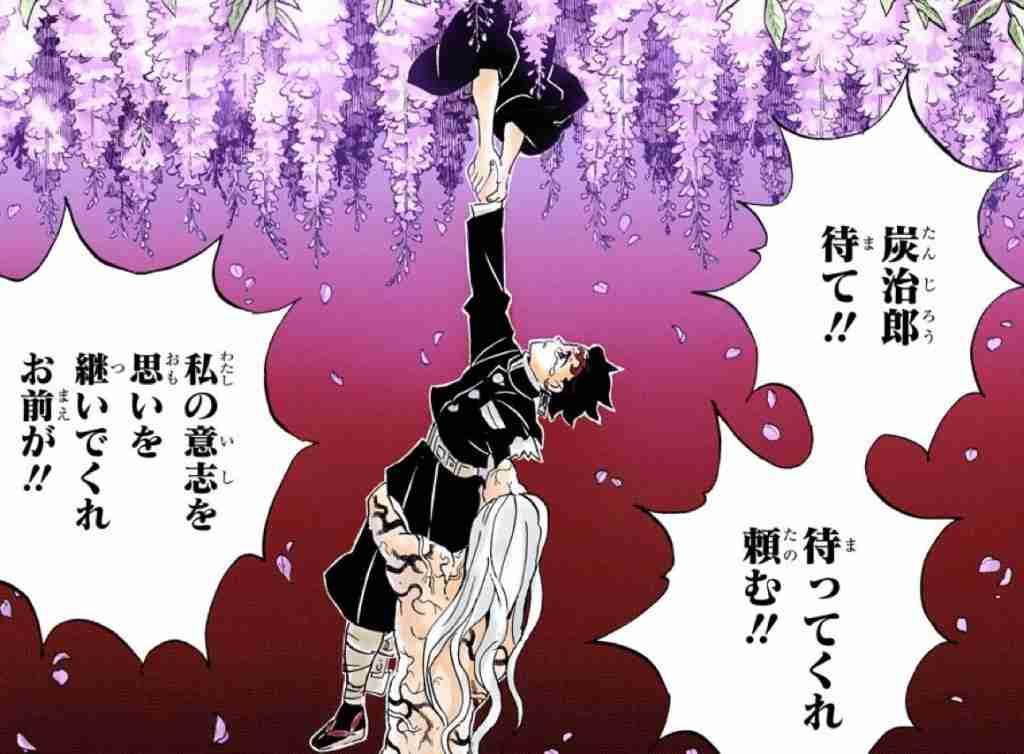 樹齢600年超“黒木の大藤”の花、刈り取りへ…人出多く苦渋の決断