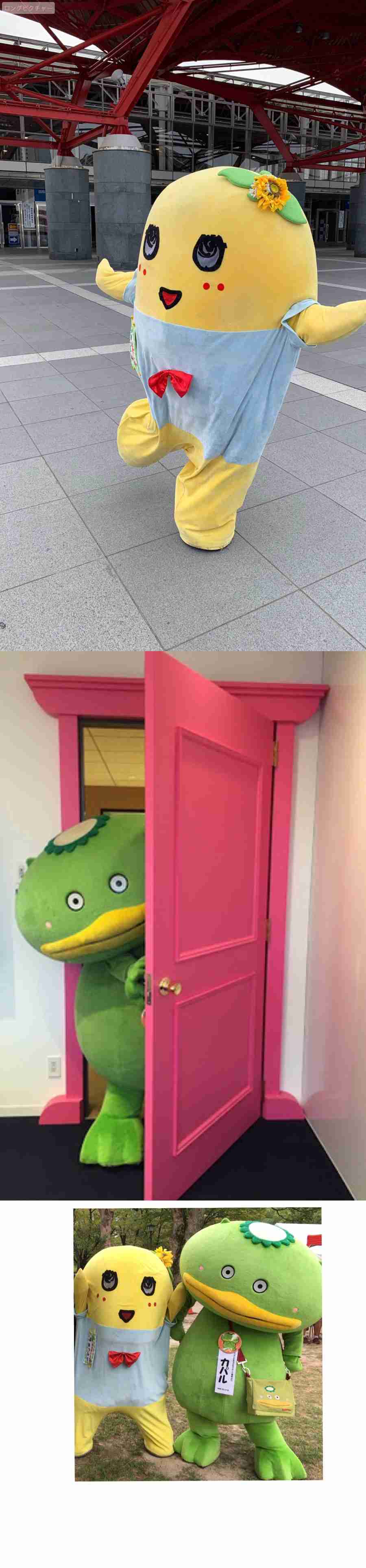 ガルちゃんで画像（サイト）を貼り付ける方法＆練習Part26