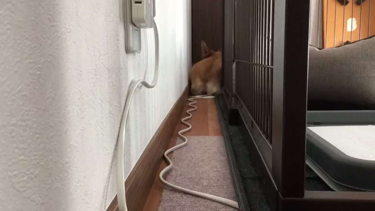 ガルちゃんで画像（サイト）を貼り付ける方法＆練習Part26